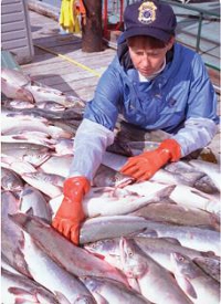 fda-fisherwoman-200