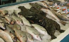 supermarket-seafood